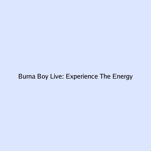 Burna Boy Live: Experience The Energy